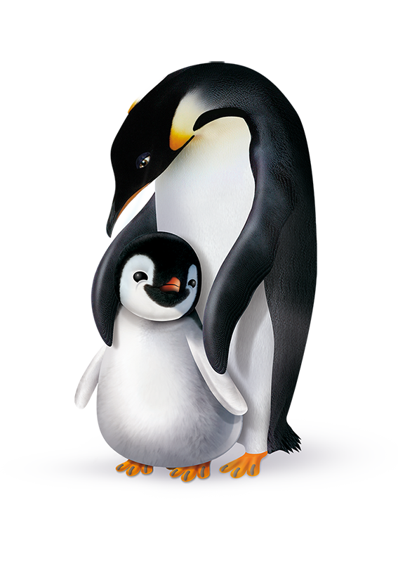 Pingo